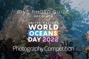 Concurso fotográfico por el Día Mundial de los Océanos